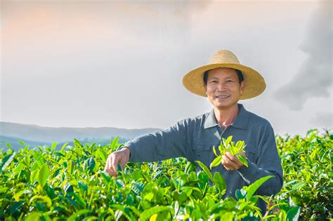 雲南有哪些特色小喫，不妨從其豐富的茶類品嚐談起。